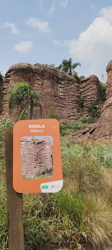 Gorila - Image 1