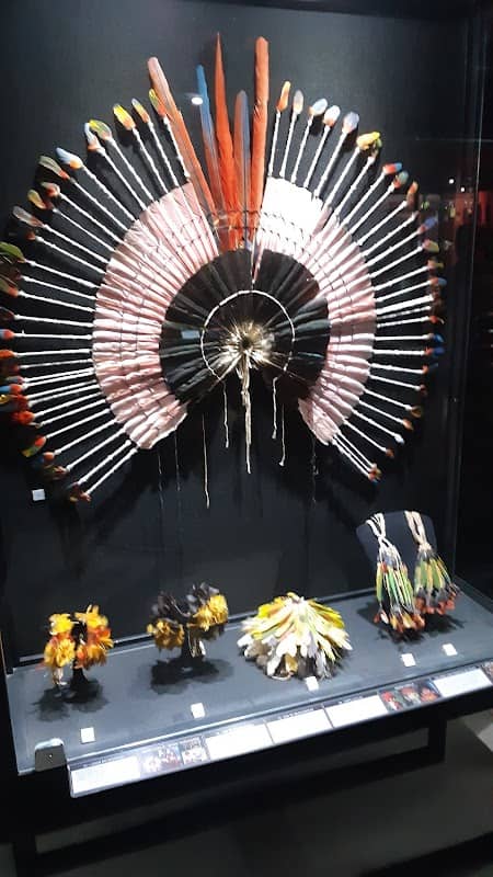 Museu Do Homem Do Norte - Image 1