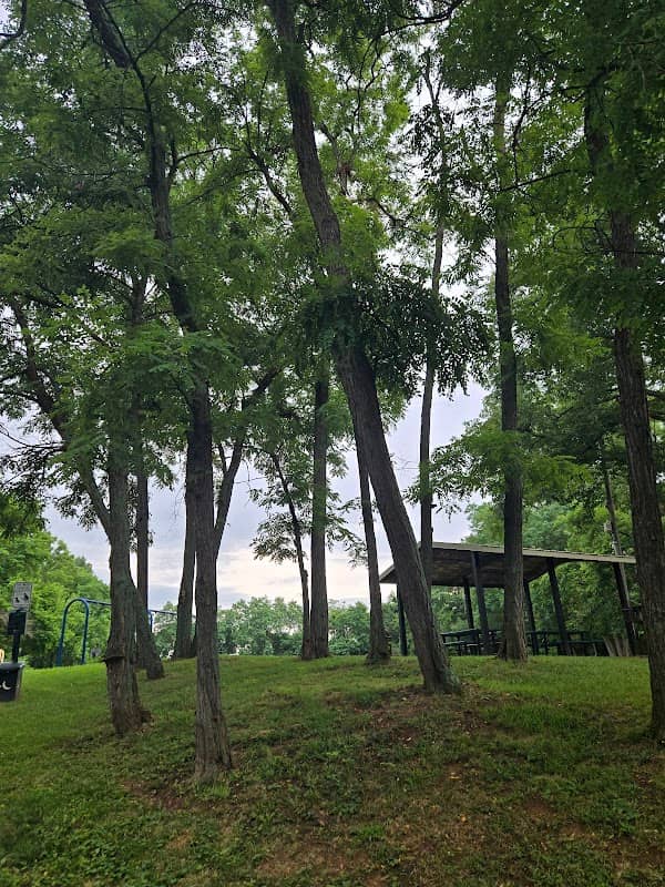 Riddleview Park - Image 1