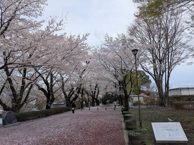 Sakura City Museum Arai Kanpo Memorial Museum - Image 1