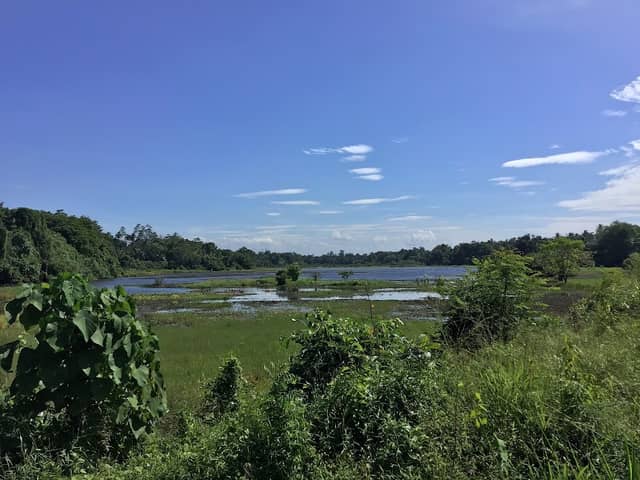 Madirikada Pond - Image 1
