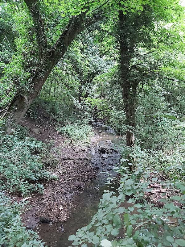 Dronfield Nature Park - Image 1