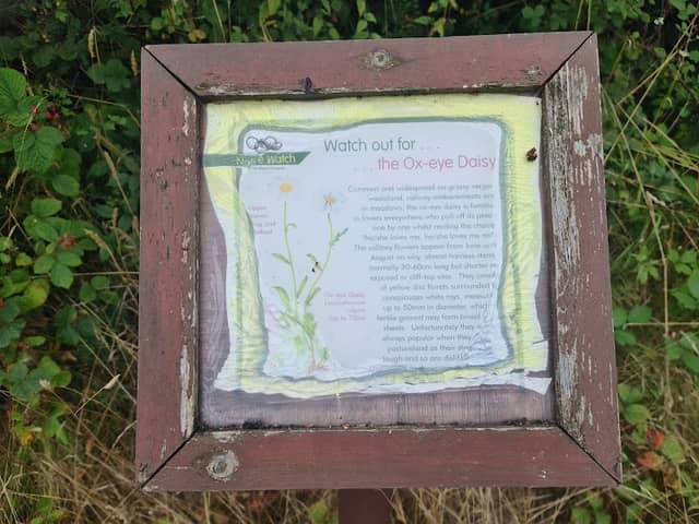 Dronfield Nature Park - Image 2