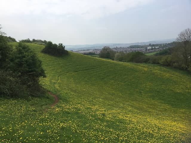 Ludwell Valley Park - Image 1