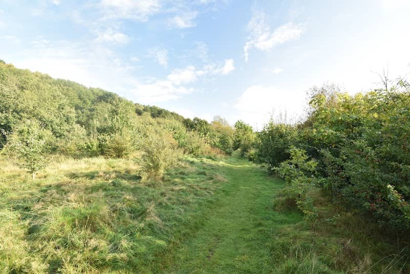 Cotwall End Local Nature Reserve - Image 2