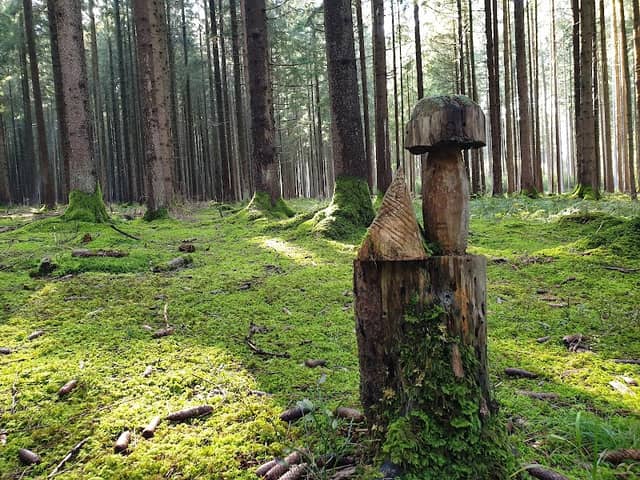 Holzkunstwerk im Wald - Image 3