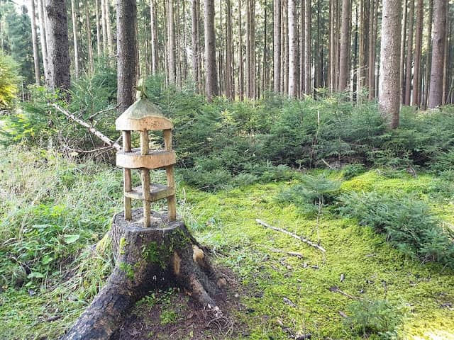 Holzkunstwerk im Wald - Image 1