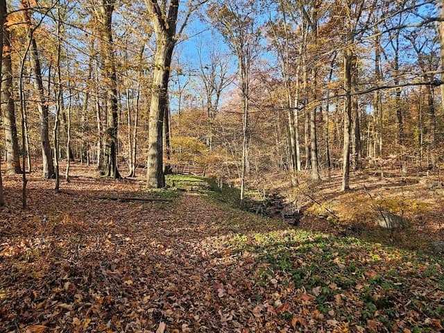 Davenport Preserve - Image 2