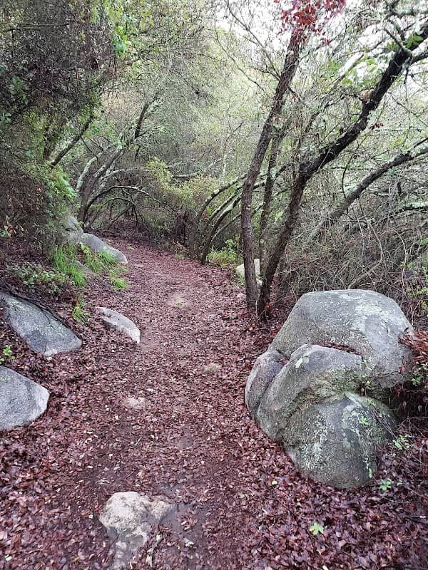 Fry Koegel Trail - Image 2