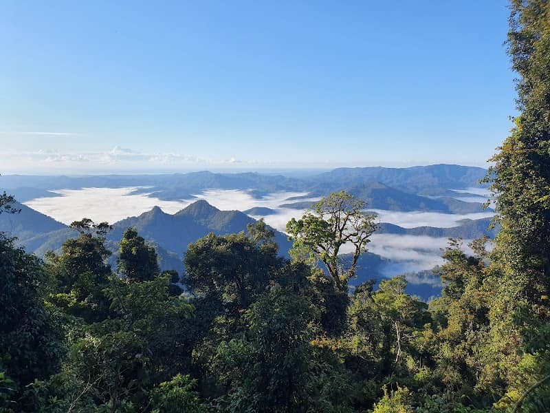 Wollumbin National Park - Image 1