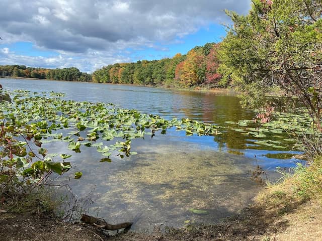 Portman Nature Preserve - Image 1