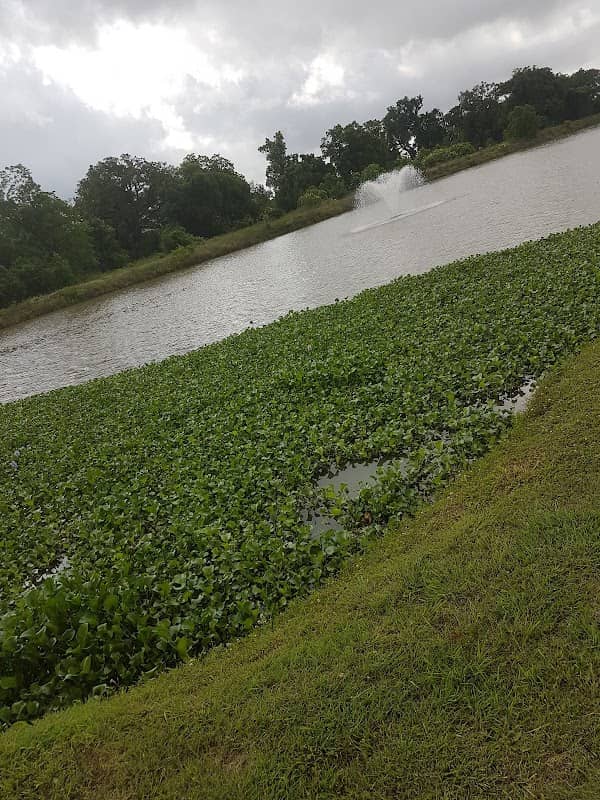 Calvit-Eagle Lake Park - Image 3
