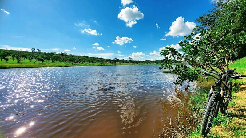 Lago no Jd. dos Pinheiros - Image 1