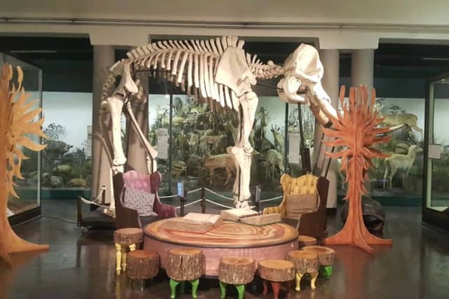 KwaZulu-Natal Museum - Image 1