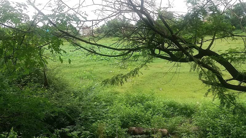 Sivankulam Pond - Image 1