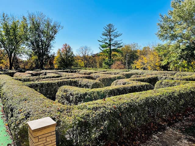 English Hedge Maze - Image 2