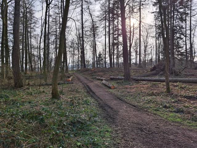 Old Deer Park - Image 1