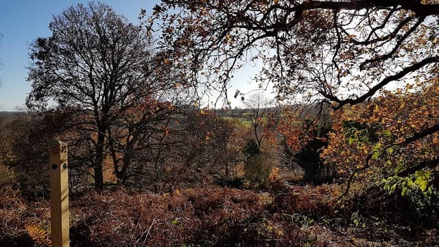 Old Deer Park - Image 2