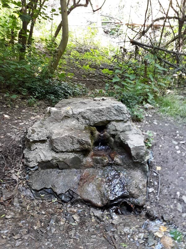 Studánka Stydlá voda - Image 1