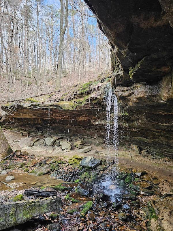 Hurricane Creek Park - Image 3