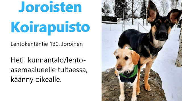 Joroisten koirapuisto - Image 2
