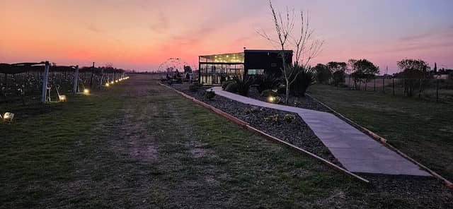 Viñedos los Teros - Image 2