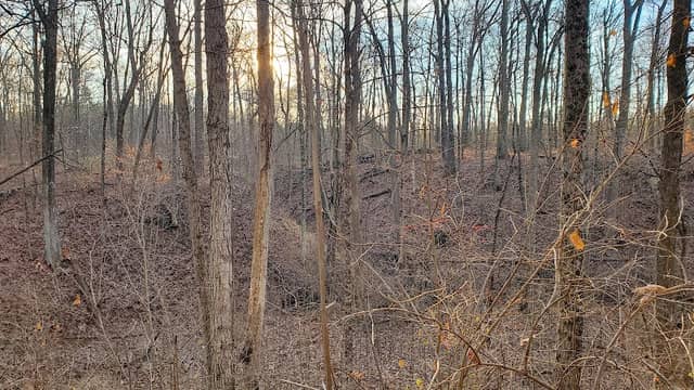 Woodland Trails Wildlife Area - Image 1