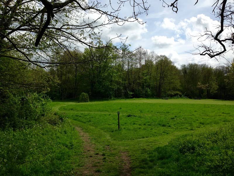 Rodden Meadow - Image 1