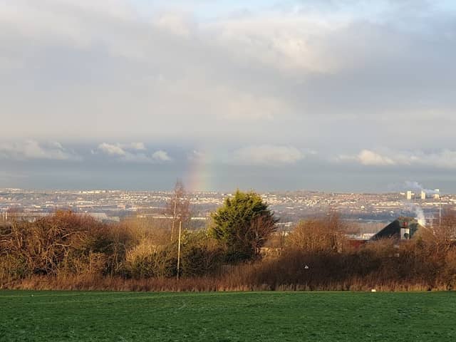 Holmhills Wood Community Park - Image 2