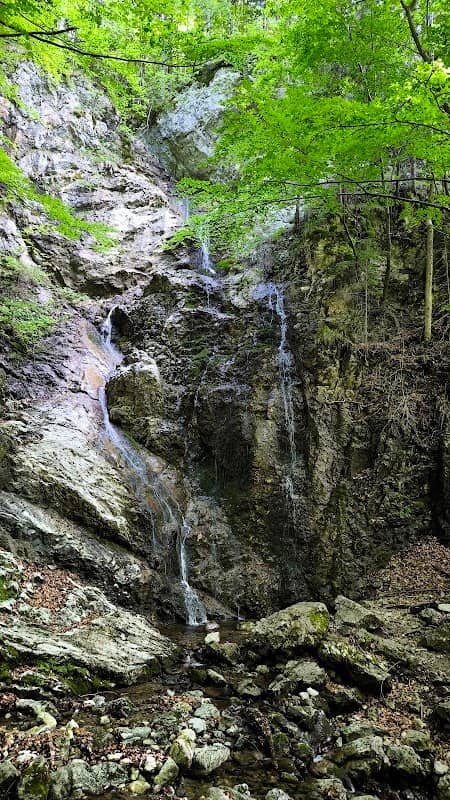 Schindeltal Wasserfall - Image 2