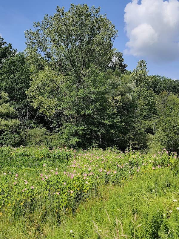 Monarch Bluff Picnic Area - Image 1