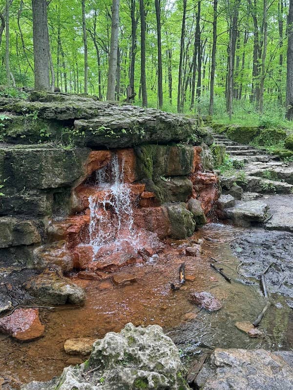 The Yellow Spring - Image 2