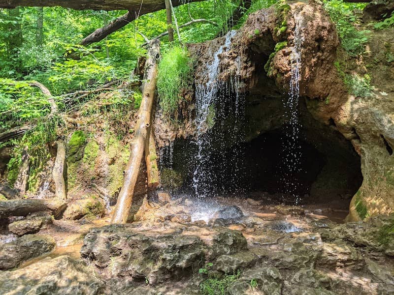 The Yellow Spring - Image 1