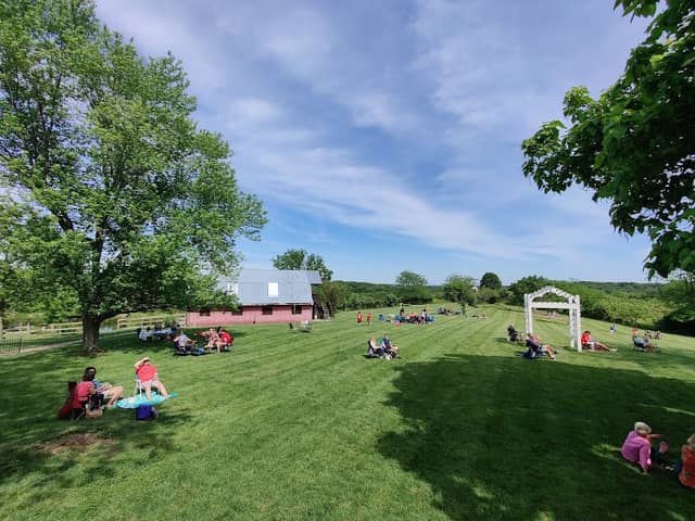 Wild Sun Winery and Brewery - Image 2