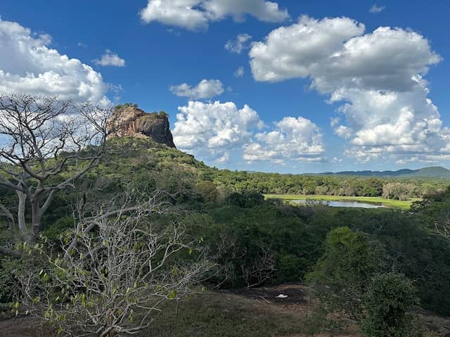View point - Image 1