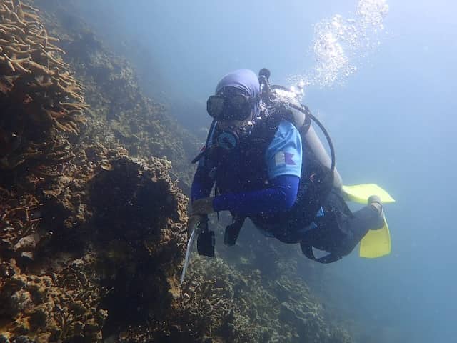 DARVEL BAY DIVING - Image 1