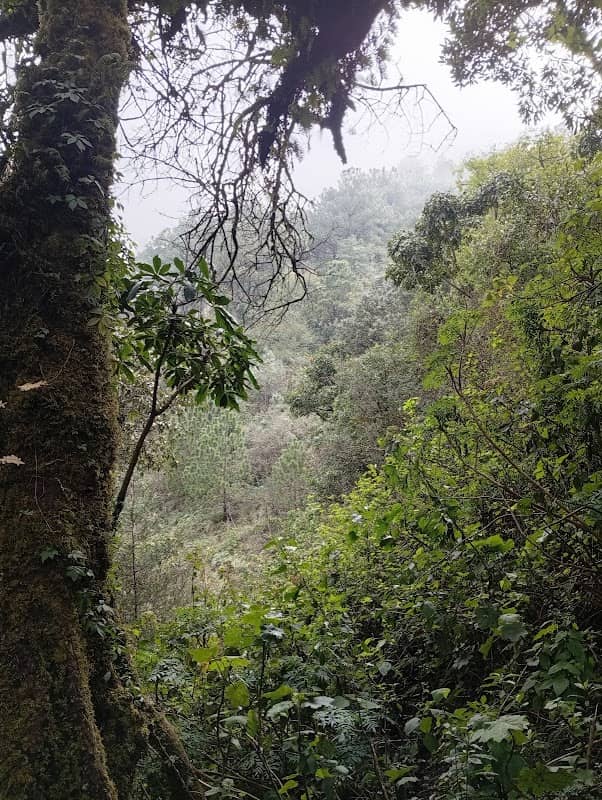 Acatenango - Image 3