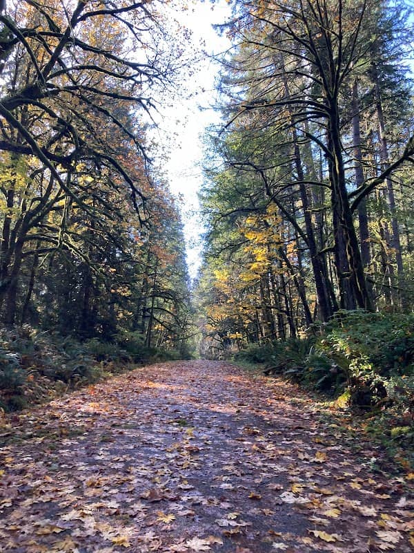 Woodard Bay Conservation Area - Image 3