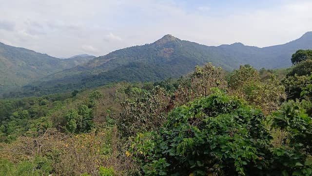 Attayoli Hill Station (Angadikadavu) - Image 1