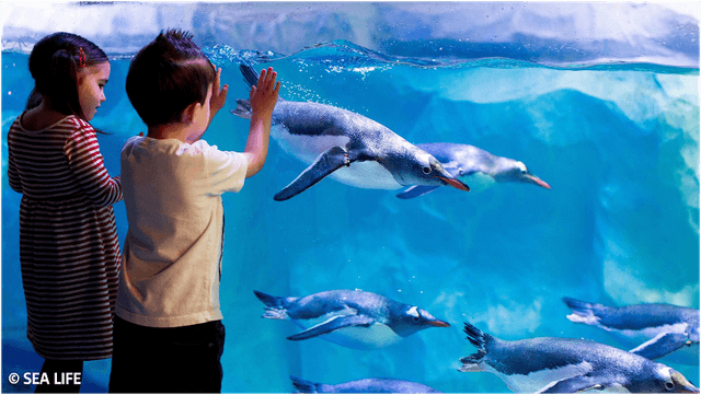 SEA LIFE Konstanz - Image 2