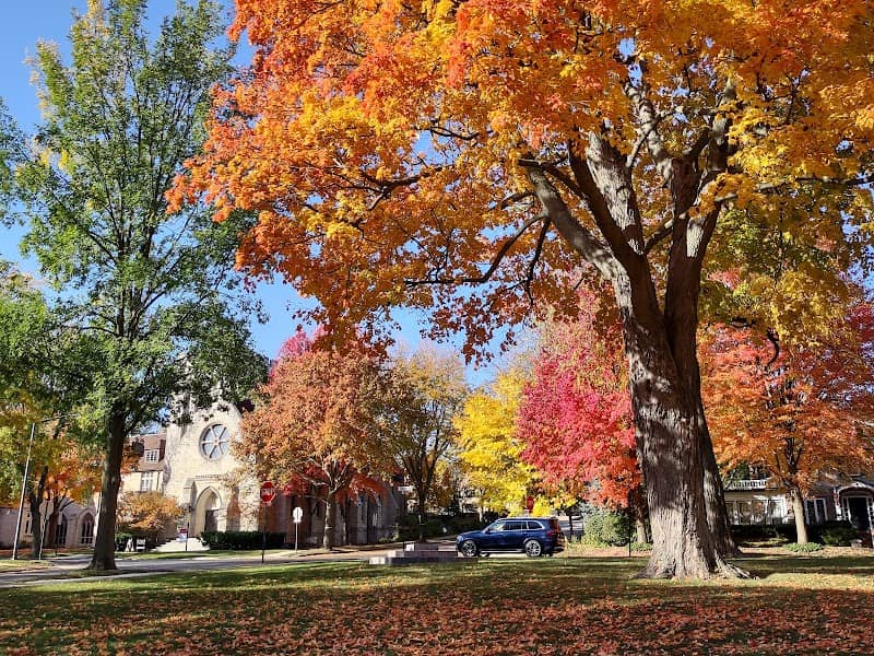 Village Green Park - Image 1