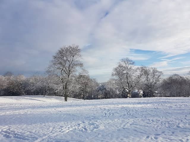 Woodside Park - Image 2