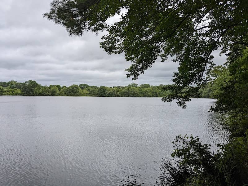 John L. Curran Management Area - Image 1