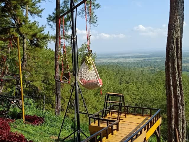 Kemit Forest Education - Image 1