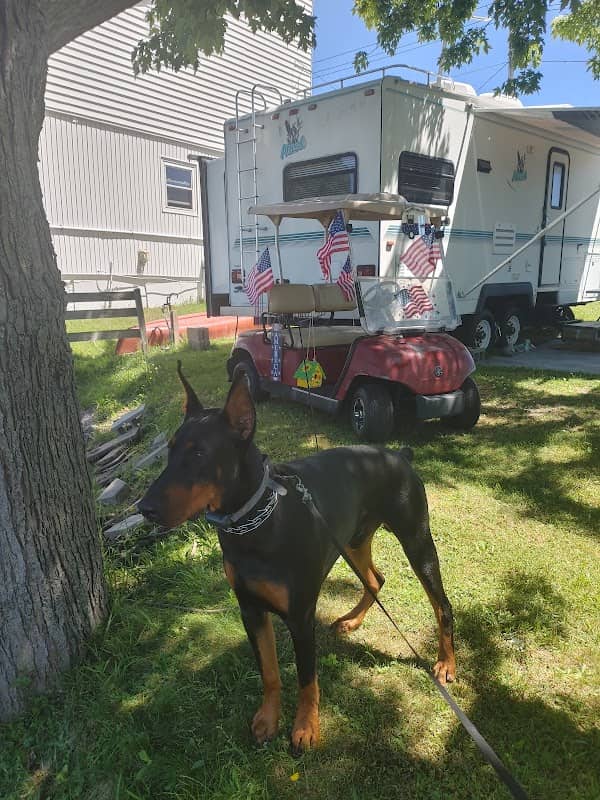 White Birch Campground - Image 1
