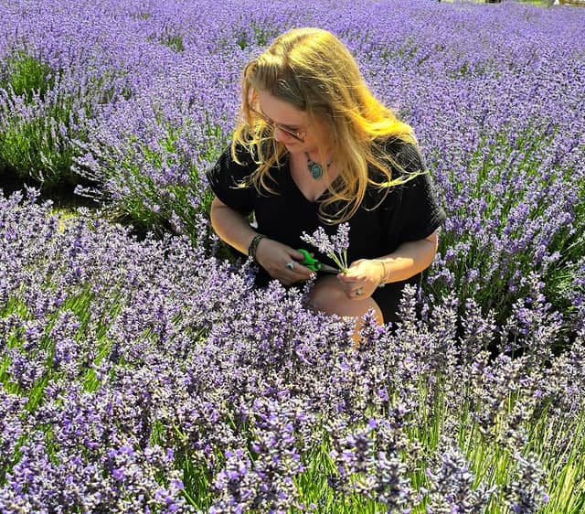 Lavender Festival - Image 3
