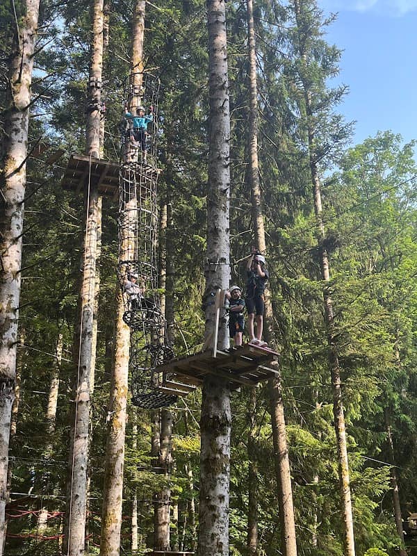 Organic Adventure Park - Image 1