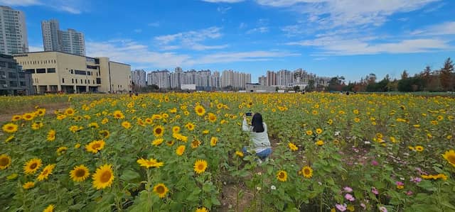 아름드리공원 - Image 1