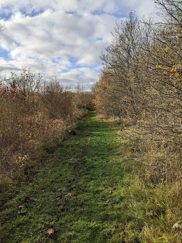 Gresley Woods- Forestry England - Image 2