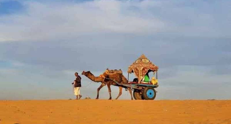 Desert Area Bikaner - Image 1